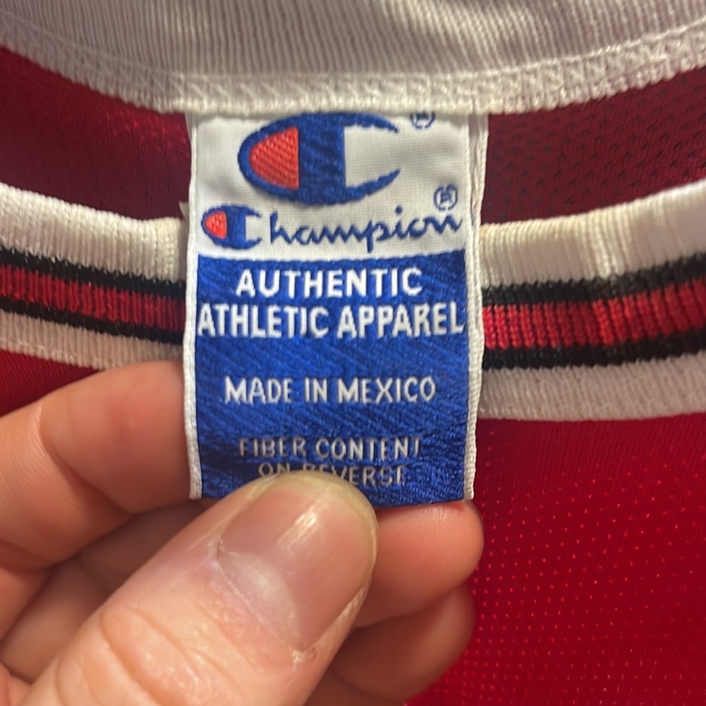 Vintage Michael Jordan Champion Jersey in mint condition 10/10 never worn.